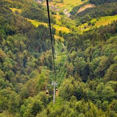 5D_9033lr_M