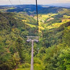 5D_9034lr_M