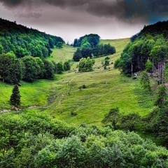 5D_9081lr_M