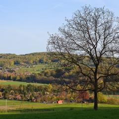 5D_8502lr_M