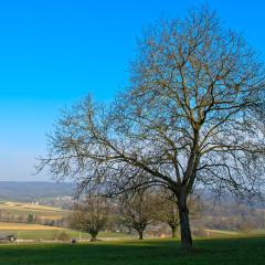 G12_0006lr_M