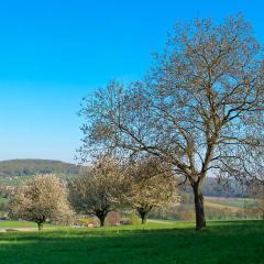 G12_0052lr_M