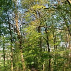 G12_0070lr_M