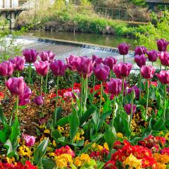 Saltaire