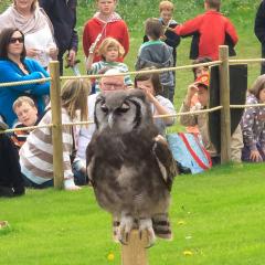 Warwick Castle