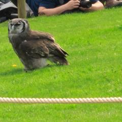 Warwick Castle