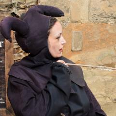 Warwick Castle