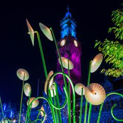 Garden of Light