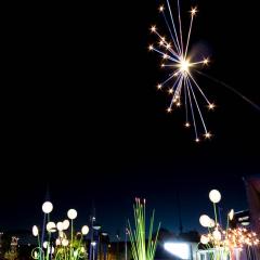 Garden of Light