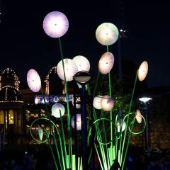 Garden of Light