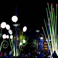Garden of Light