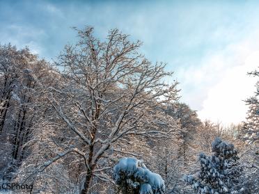 Winter