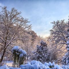 5D_12185lr4
