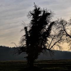 5D_11576-Editlr4
