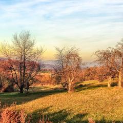 5D_11589-Editlr4-2
