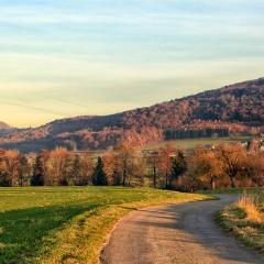 5D_11609-Editlr4