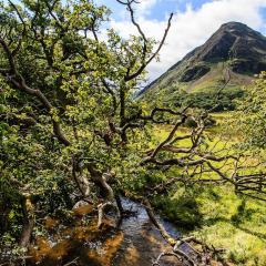 IMG_4138lr4a