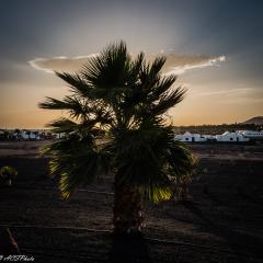 2014, Lanzarote