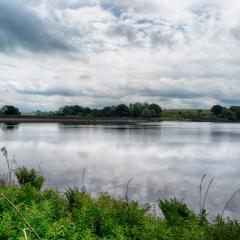 IMG_0770