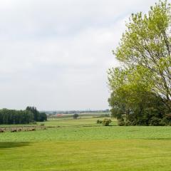 IMG_0372