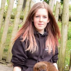 2014, Tara, WestMidsSafariPark