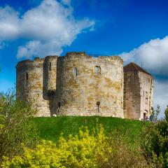 IMG_1245-Edit