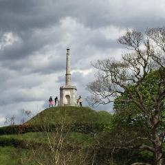 Canterbury IMG_1127