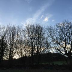 2015, Around Home, Clayton, Home 2015, Around Home, Clayton, Home