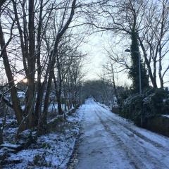 2015, Around Home, Clayton, Home 2015, Around Home, Clayton, Home