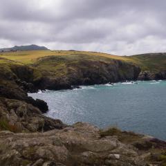 2015, Pembrokeshire