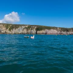 2015, Pembrokeshire