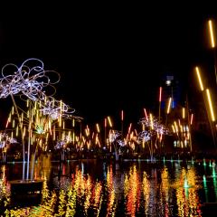 Bradford, City Park, Forest of Light