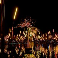 Bradford, City Park, Forest of Light