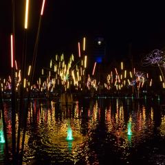 Bradford, City Park, Forest of Light