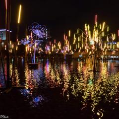 Bradford, City Park, Forest of Light