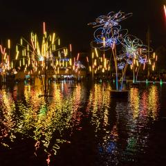 Bradford, City Park, Forest of Light
