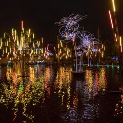Bradford, City Park, Forest of Light