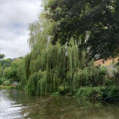 2016, Brighouse, Canal & Music Festival
