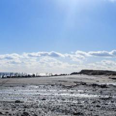 Spurn Point