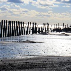 Spurn Point