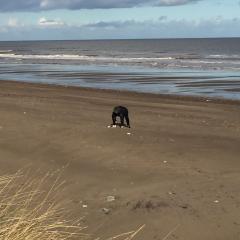 Withernsea