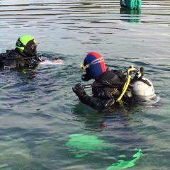 Scuba Diving, Tara