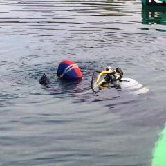 Scuba Diving, Tara