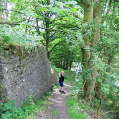 Lime Kiln, Settle