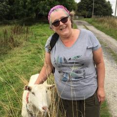 Baildon to Saltaire, Walk
