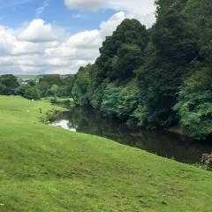 Bingley, St Ives, Walk