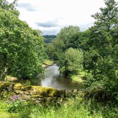 Bingley, St Ives, Walk