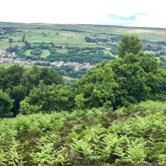 Bingley, St Ives, Walk