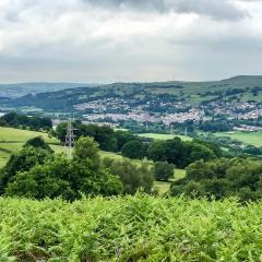 Bingley, St Ives, Walk