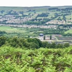 Bingley, St Ives, Walk